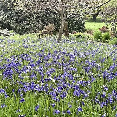 Copper Cove 度假居