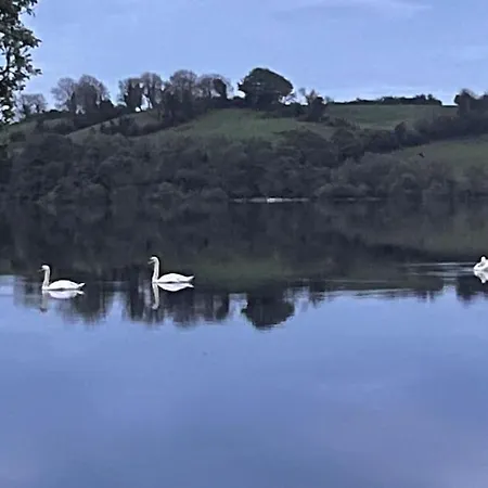 Copper Cove * Shercock