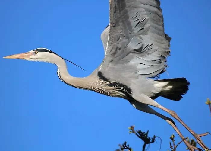 Copper Cove Prázdninový dům Shercock