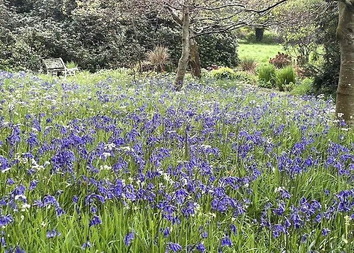 Copper Cove Prázdninový dům