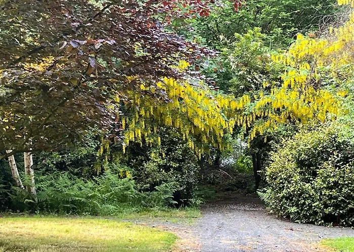 Copper Cove * Shercock